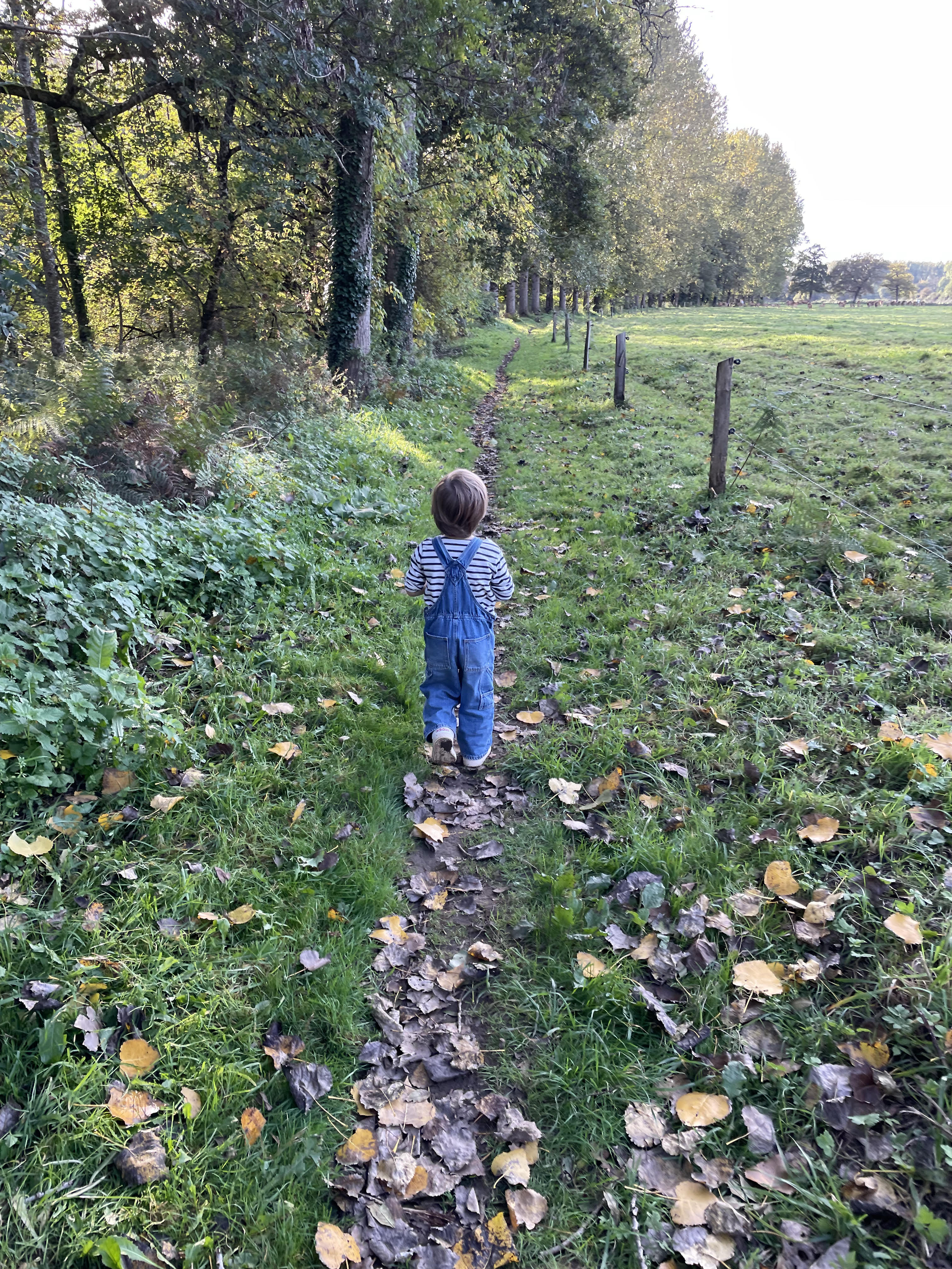 Écologie et jeunesse